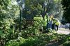 gal/Ville_Propre/_thb_OPERATION DECHETS LAMBRES 040.JPG